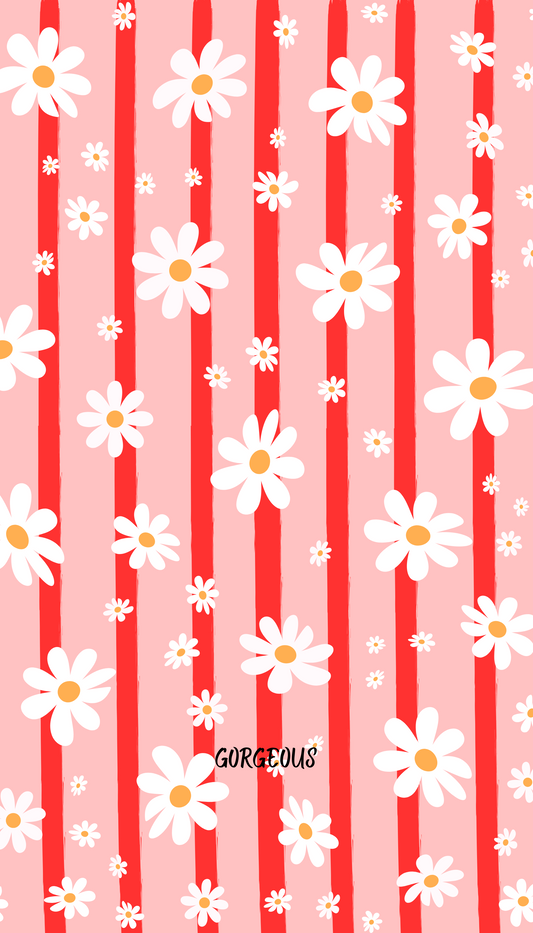 Daisy